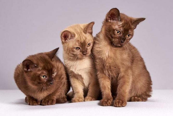 Die Unterkunft Steht Ab Sofort Nicht Mehr Zur Verfugung Appartment Is Finis 1 June - Thanks For All Your Andreas & 3 Cats Lubeck Exterior photo